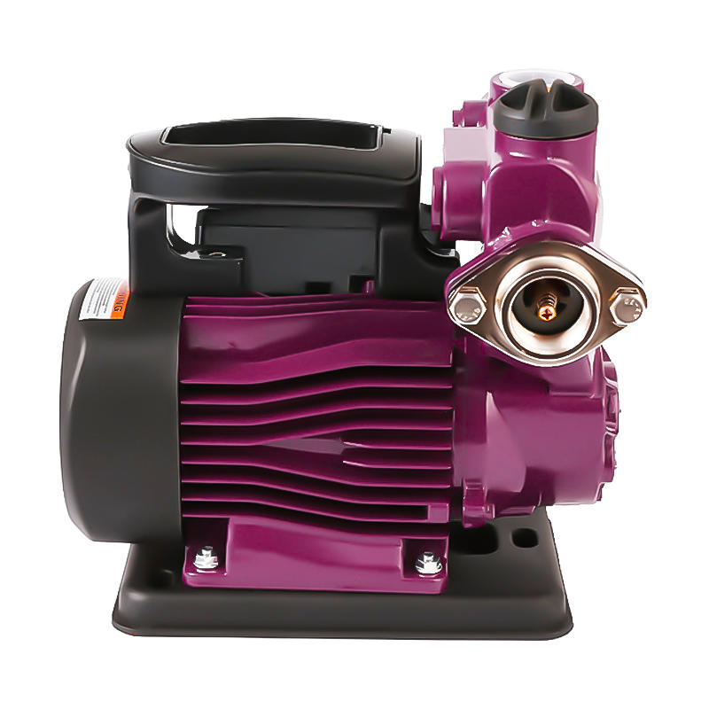 Portable 200w 0.25hp water pumps high pressure booster pump
