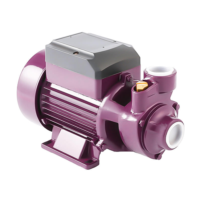 Electric motor 0.5hp QB60 peripheral water pump