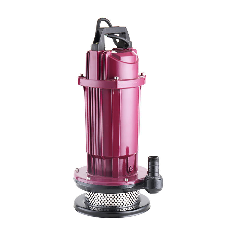 QDX 750w clean water Submersible Pump 