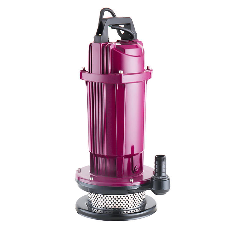 QDX 750w clean water Submersible Pump 