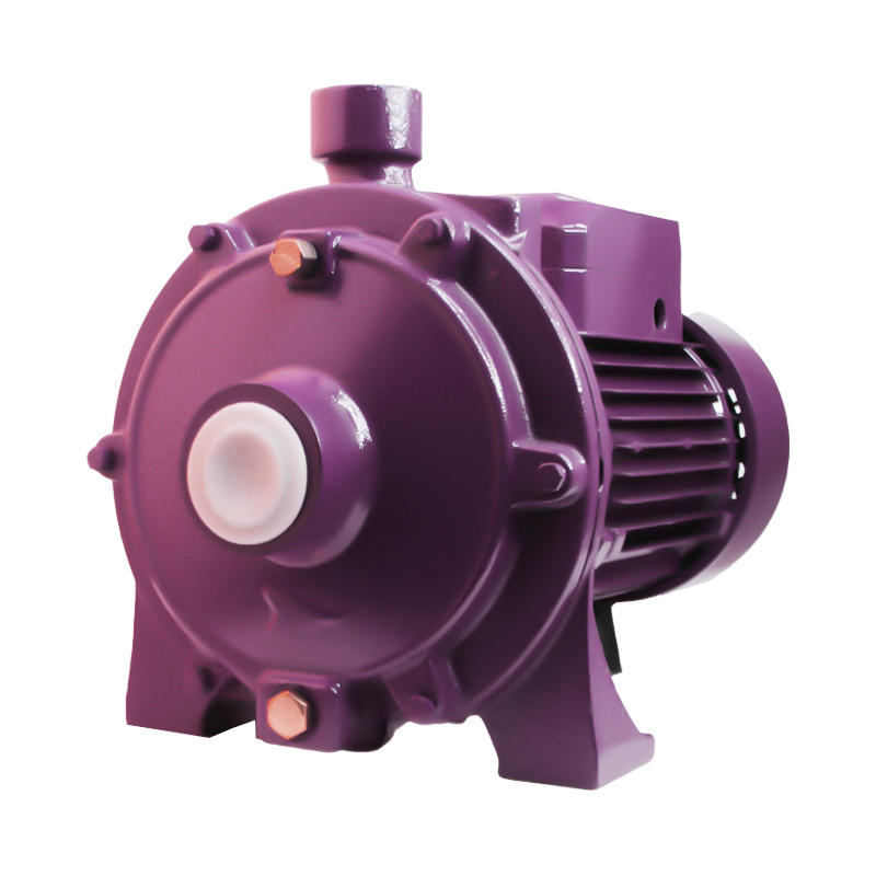 Double impeller  centrifugal pumps electric clean water pump