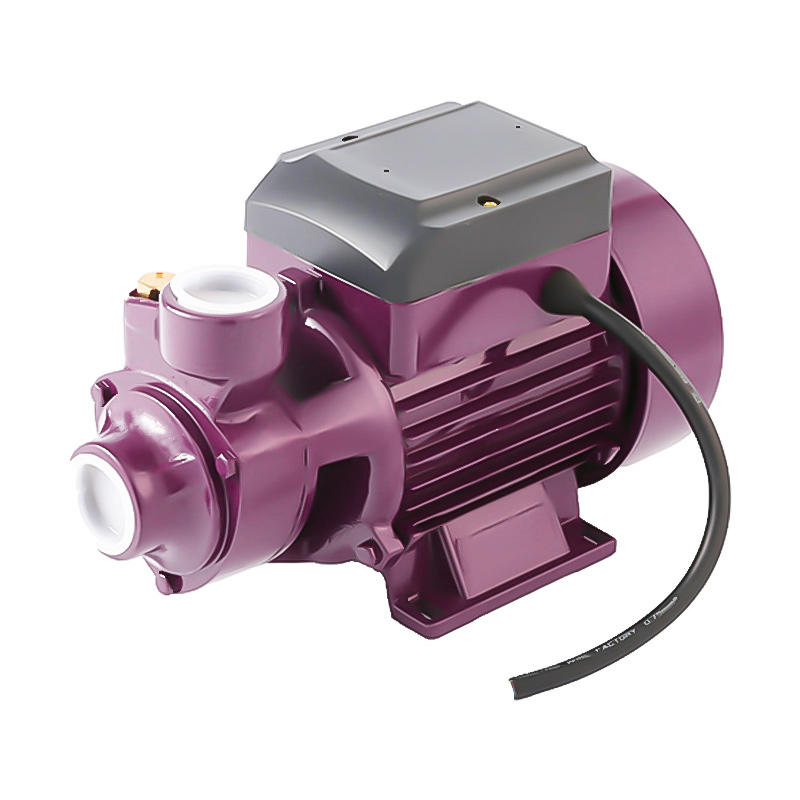 Electric motor 0.5hp QB60 peripheral water pump