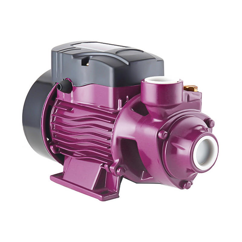 Electric QB60 0.5hp QB 80 1 hp vortex water pump 