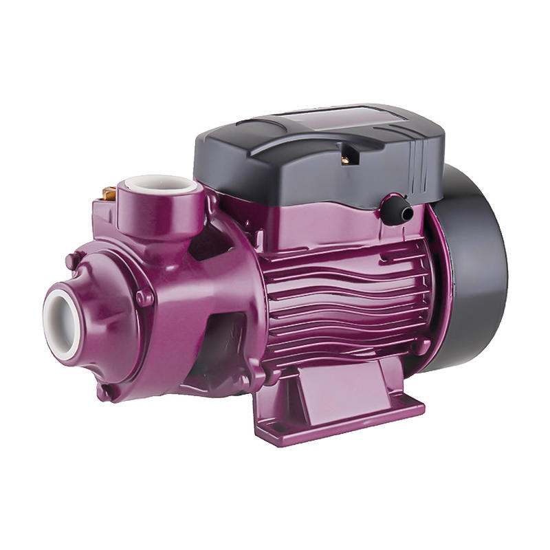 Electric QB60 0.5hp QB 80 1 hp vortex water pump 